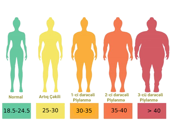 body mass index
