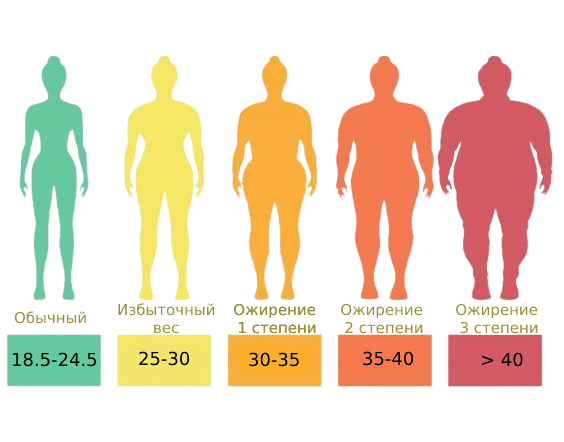 body mass index